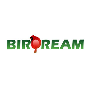 Birdream