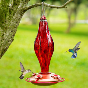 Birdream Glass Hummingbird Feeder for Outdoors 13 Ounces Nectar Capacity Vintage Red Glass Bottle with Perch 4 Feeding Ports for Yard